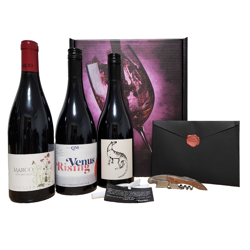 Premium Wine Tasting Kit